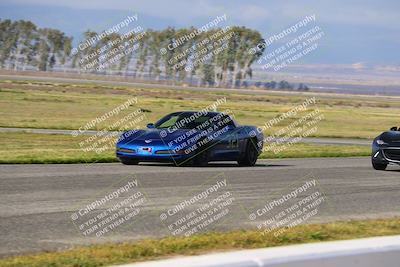 media/Mar-30-2025-Speed Ventures (Sun) [[39e6b1441d]]/Yellow/Front Straight/